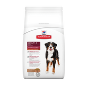 Advanced Fitness Adult - Large Breed